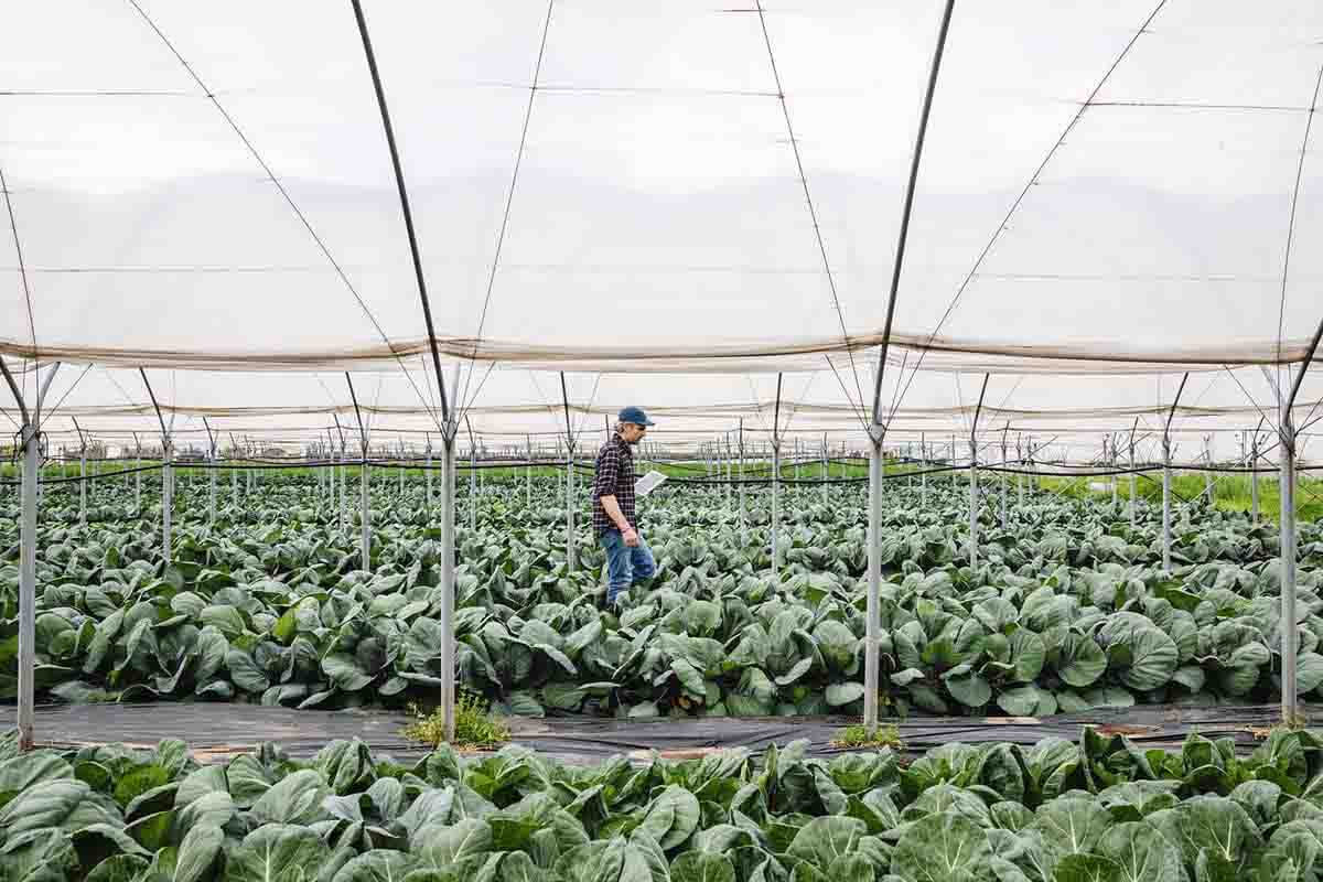 BNZs natural capital set up your agribusiness for long term sustainability