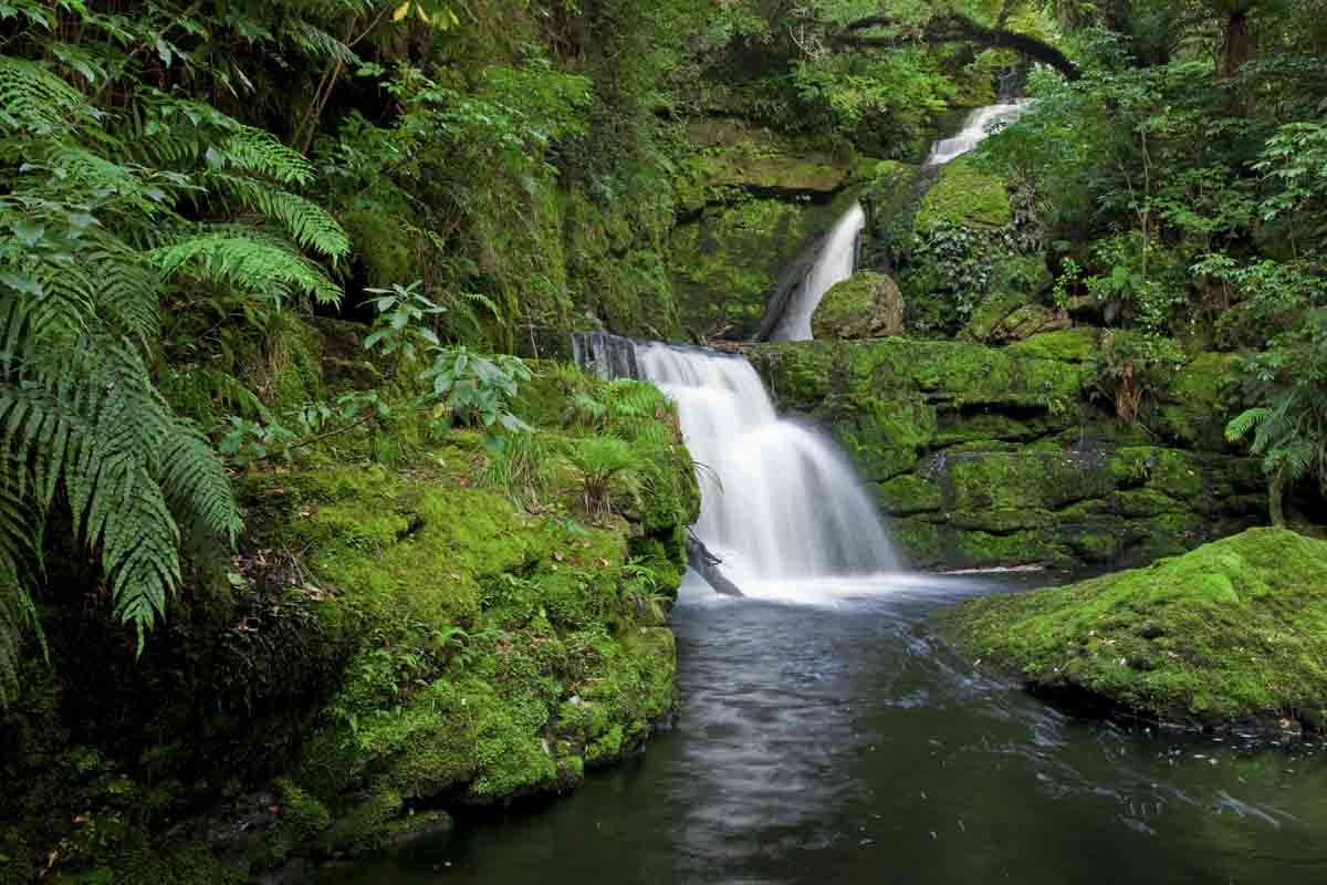 Climate change What does net zero mean for investors? BNZ