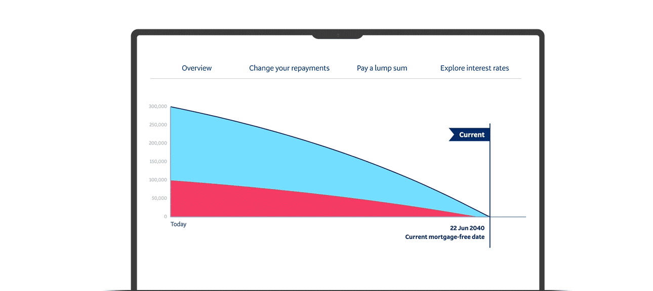 Bnz loan calculator deals